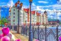 foto_sova39