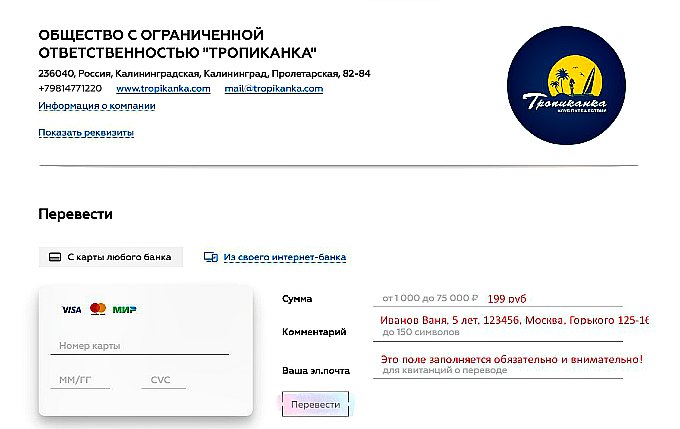 Оплатить доставку письма от Деда Мороза
